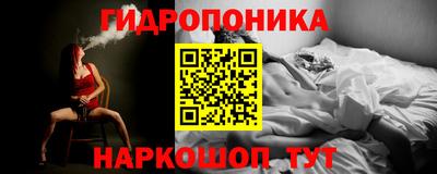 mdpv Кингисепп