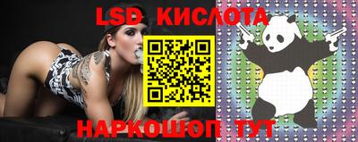 скорость Кимры