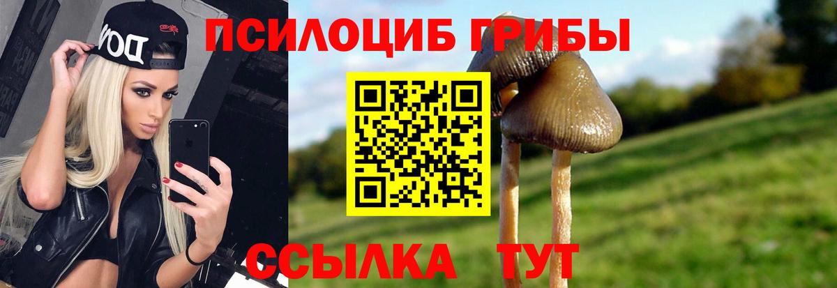 Псилоцибиновые грибы GOLDEN TEACHER  Галлюциногенные грибы Magic Shrooms  Коркино  Вход с VPN 